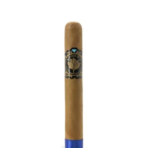 Casa Nicaragua Five B Sublime Cigar